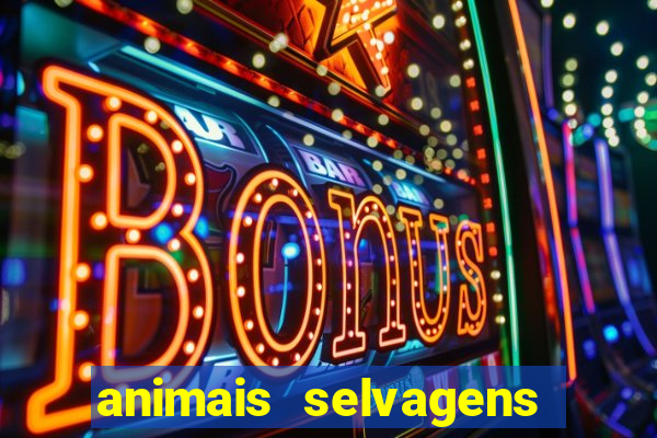 animais selvagens fotos e nomes